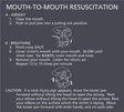 Residence Inn Mouth-to-Mouth Resuscitation