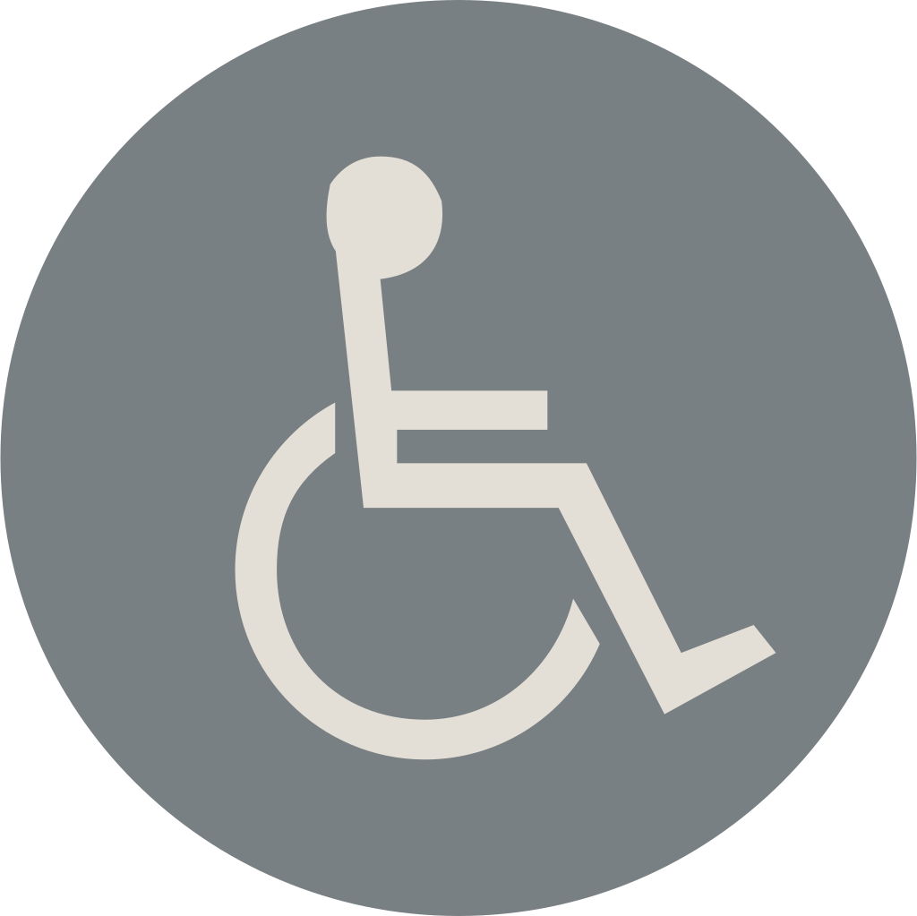 Hyatt Studios Accessible Symbol
