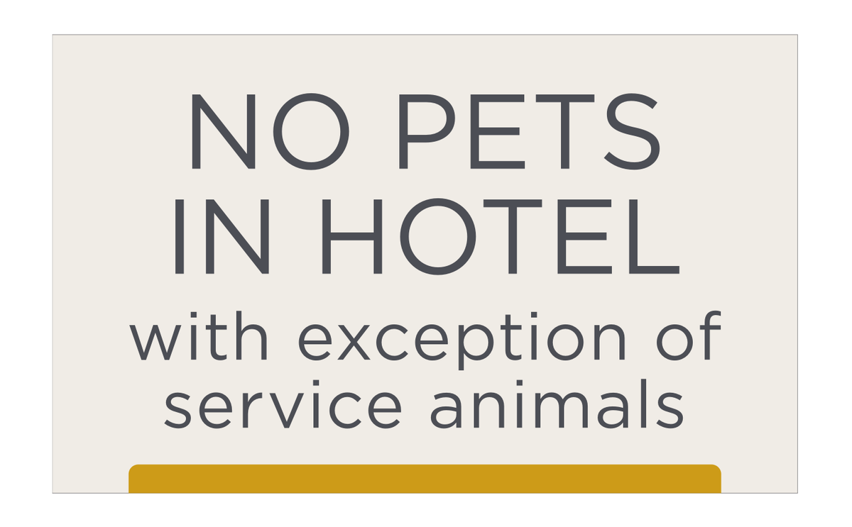 City Express No Pets In Hotel